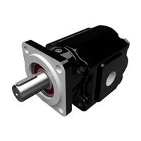 Cast Iron Pumps - PGM051 Series